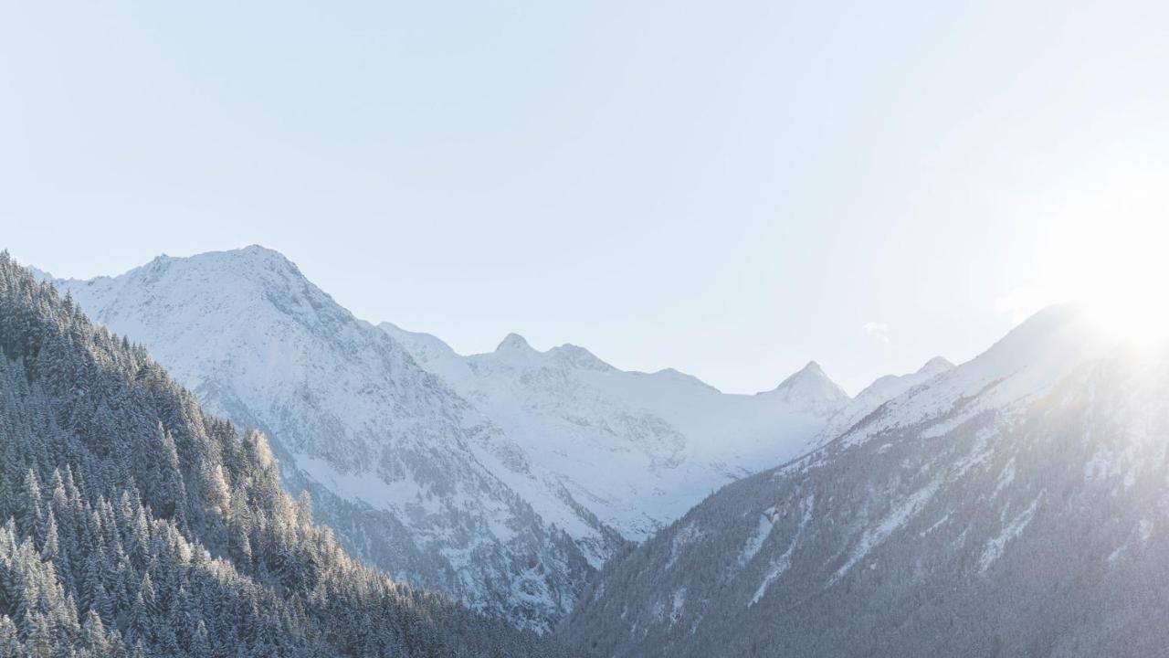 Haus Gleinser - Neustift Im Stubaital Eksteriør billede